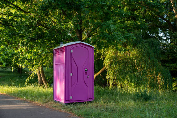 Best Porta potty rental for festivals  in Windsor, MO